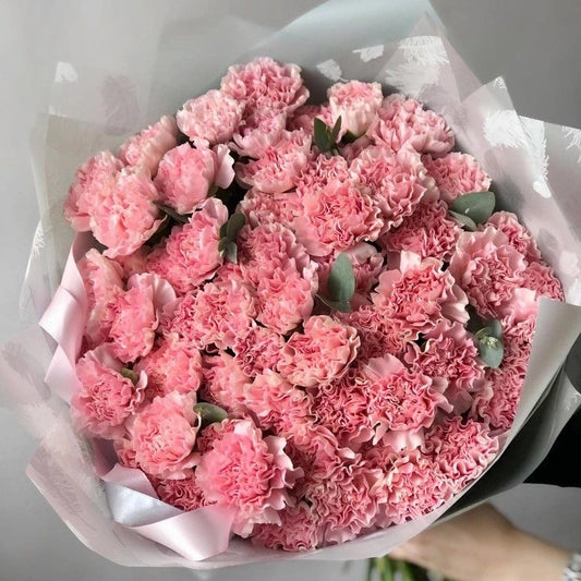 CARNATIONS