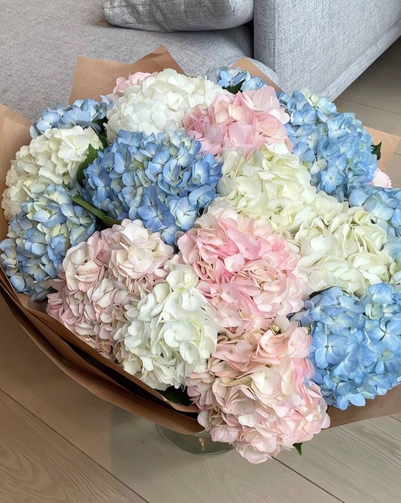 HYDRANGEAS